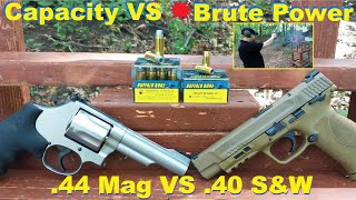 Capacity VS 💥Brute Power 40 SampWP VS 44 Magnum Buffalo Bore Ammo Ballistic Test [upl. by Leahcimnaes142]