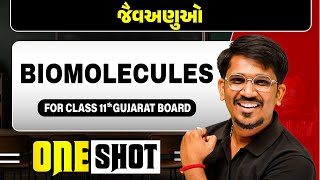 જૈવઅણુઓ  BIOMOLECULES in Gujarati  Zoology One Shot for Class 11thGSHSEB [upl. by Andria553]