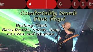 Comfortably Numb  Backing Track  Bass Drums Vocals Keys No Lead and Rhythm [upl. by Ellehcar]