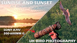 Sunrise and Sunset Bird Photography with Sony 200600mm lens [upl. by Ogdan]