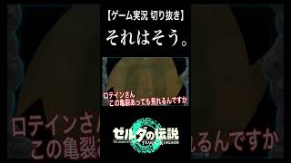 それはそう。【 ゼルダの伝説 ティアーズオブザキングダム ＃切り抜き 】 [upl. by Other]