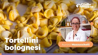 Come fare i TORTELLINI FATTI IN CASA  Ricetta di Aurora Mazzucchelli [upl. by Slorac552]