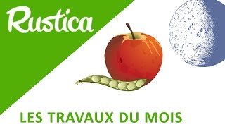 Calendrier lunaire  que faire au jardin en jour graines et fruits [upl. by Ahseinat]