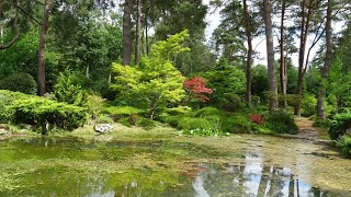 Arboretum des Grandes Bruyères [upl. by Jovia222]