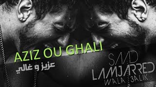 Saad Lamjarred latest song ❤️🥰❤️shortvideosaadlamjarredgulimatasingermoroccokingviral [upl. by Annwahs]