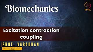 Excitation contraction coupling [upl. by Whiting]