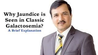 Why Jaundice is Seen in Classic Galactosemia [upl. by Richards917]