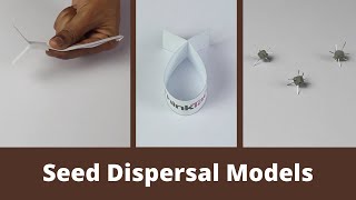 Seed Dispersal Models  ThinkTac  DIY Science [upl. by Alleroif]