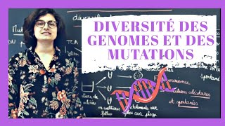 🧬 Diversité des mutations et génomes  Biologie prépa BCPST Terminale [upl. by Caton893]