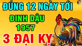 Cảnh báo Đinh dậu 1957 Tránh Xa 3 Điều Này TRÚNG LỚN LIÊN TỤC Đổi Đời Chóng Mặt 12 Ngày Tới  PTPT [upl. by Allerus]