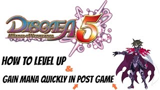 Disgaea 5 Leveling Guide ► How To Level Up Fast In Post Game W Martial Training [upl. by Ahtnicaj892]