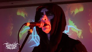 THEOSOPHY  live at Gorod Club 04112024 [upl. by Onaivlis763]