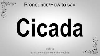 How to Pronounce Cicada [upl. by Luwana]