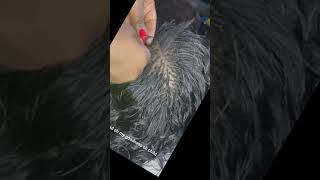 Hairdresser Reacts To Micro Box Braids Hairstyle reaction reaction hair braids hairstylist [upl. by Veronike952]