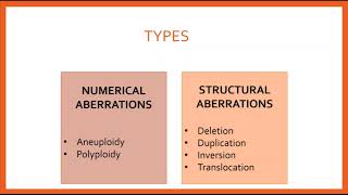 Chromosomal Aberrations [upl. by Rahel]