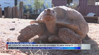 Big Country Wildlife Rehabilitation Center moves into larger facility [upl. by Rahal106]