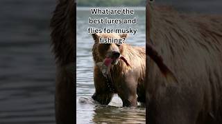 What are the best lures and flies for Musky Fishing [upl. by Htennek]