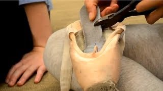 Pointe Shoe Tip  How to 34 Shank Your Shoes [upl. by Neltiac88]