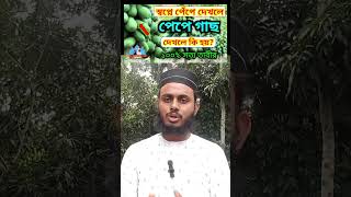 স্বপ্নে পাকা পেঁপে ও কাচা পেঁপে খেতে দেখলে ব্যাখ্যা কি হবে  sopne pepe dekle ki hoy  বাহাউদ্দিন [upl. by Junji326]