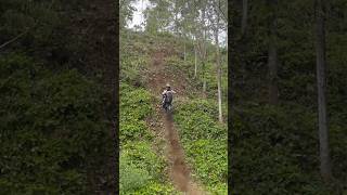 Fiz R 300 vs Vixion 500 vs DT250  Yos Jember Hard Enduro [upl. by Antoni]