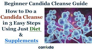 Beat Candida Naturally The Proven 3Step Cleanse Strategy for WholeBody Wellness [upl. by Diella632]