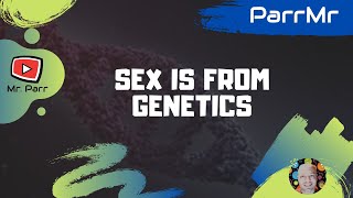 Sex is From Genetics Song [upl. by Solracesoj]