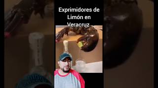 Exprimidores de Limon en Veracruz [upl. by Marya]