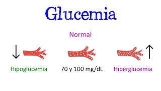 💥 Glucemia Hipoglucemia e Hiperglucemia 💥 ¿Qué son Características y Síntomas Fácil y Rápido [upl. by Alleuqram100]