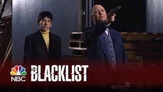 The Blacklist Season 8  The Truth About The Blacklist Revealed The Cine Wizard [upl. by Zaraf]