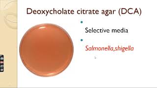 Selective media  Transport media  Differential media  Anaerobic media in hindi [upl. by Eldrida964]