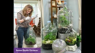 CLOSED TERRARIUM DIY  SEALED BOTTLE GARDENS 🌱 Closed Terrarium Plants 🌿Shirley Bovshow [upl. by Arita]