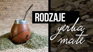 Rodzaje Yerba Mate Czajnikowypl [upl. by Amikat]