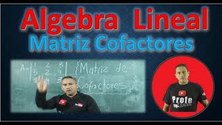 Matriz de Cofactores Determinante de una matriz 3 x 3  Grossman K Hoffman R Kunze [upl. by Elnar]