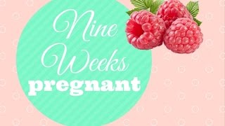 9 Weeks Pregnant with Baby 2  Little Vegan Mama UK [upl. by Annekim]