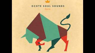 Ocote Soul Sounds  STTP Speak Truth To Power [upl. by Leonid152]