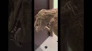 Rexy At The Door jurassicworldalive shorts [upl. by Misa]