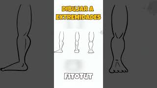 Cómo Dibujar Extremidades [upl. by Thgiwed]