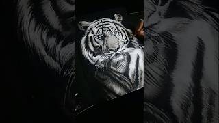 Charcoal tiger drawing shorts charcoaldrawing realistic [upl. by Lathrope737]