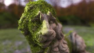 Moss and grass instancing RampD in Houdini [upl. by Ayana597]