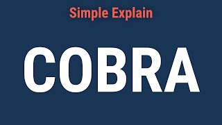 What Is the Consolidated Omnibus Budget Reconciliation Act COBRA [upl. by Riesman488]