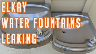 Elkay Water Fountain Leaking [upl. by Ydac]