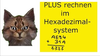 Wie rechne ich plus im Hexadezimalsystem  16erSystem [upl. by Niaz804]