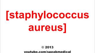 Pronounce Staphylococcus Aureus  SpeakMedical [upl. by Fernando]