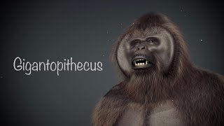 Gigantopithecus Blacki Bigfoot Sasquatch model wip [upl. by Izogn]