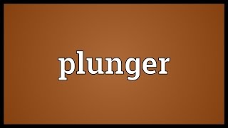 Plunger Meaning [upl. by Htebesile672]