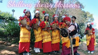 Shillong cherry blossoms  Dressing Khasi  Vlog video [upl. by Nale]