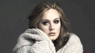 Adele ft Lil Wayne  Rolling In the Deep Remix [upl. by Kruter753]