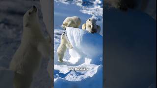 Icebreakers Lifeline of the Arctic [upl. by Massab]