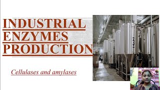 Industrial production of enzymes Cellulases and amylases [upl. by Htebirol857]