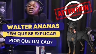 WALTER ANANAS TEM QUE SE EXPLICAR [upl. by Anoid]